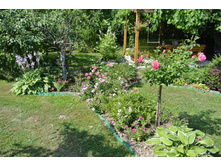 ����������� 350.jpg