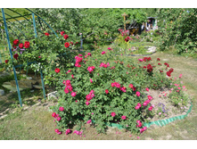 ����������� 357.jpg