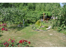 ����������� 359.jpg