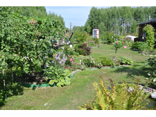 ����������� 361.jpg