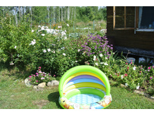 ����������� 363.jpg