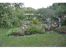 ����������� 388.jpg