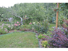 ����������� 390.jpg