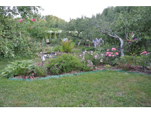 ����������� 389.jpg