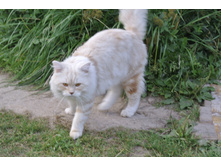 ����������� 391.jpg