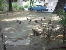 ���� 794.jpg