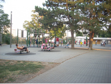 ���� 829.jpg