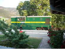 ���� 489.jpg