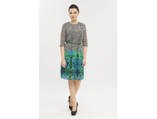 DR7695 (1244 ���).jpg