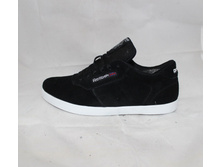 LY-5049