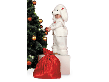 135 ������