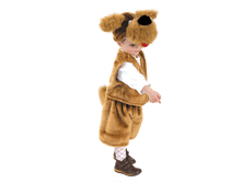 311 ������ ����