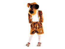 521 ������ ������