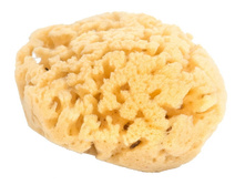 ����������� ����� ������������� - ������., ���� 530���.jpg