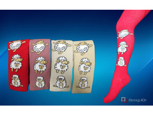 �������� ������� UCS 0-61504.jpg