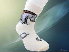 ����������� ����� UCS 0-50205.jpg