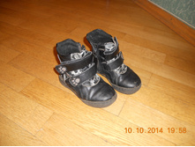 ����� �����- 29 �-�