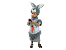 263 ������ �����