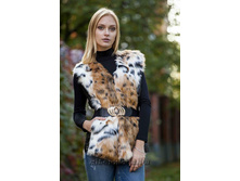 ������� �����������.jpg