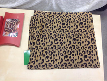 ��������� FRT-007.jpeg