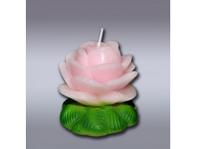 ����� �������� ���� ����� �������� - 150,41 ���.