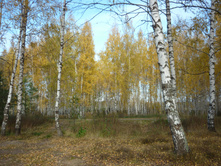 P1050278.JPG