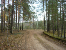 P1050341.JPG