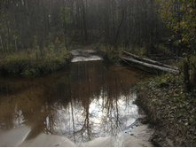 ���� ������������