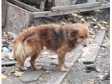 DSCF2240.JPG
