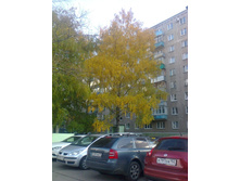����1559.jpg