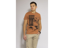 11007 - 408 ���..jpeg