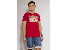 40220 - 11777 - 441���..jpeg