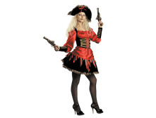 1110 �������