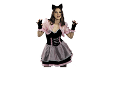 1121 �������