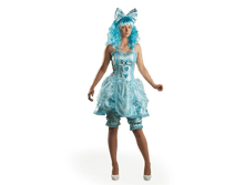 1126 ��������