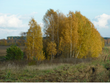 P1050530.JPG