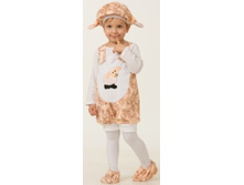 �������  ( ������-���� )