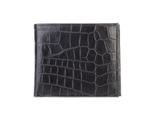 �������� PORTO LIGHT ALLIGATOR (������).jpg