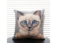 ������� �-007 750�..jpg