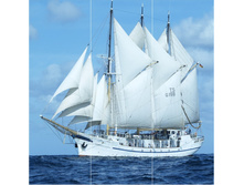 7081-3.jpg