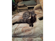 20141005_164034.jpg