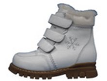 65095 �����.png