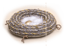 ������� �� ���� ������ 1560 ���.png