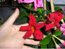 ���������� - ����� �������� ....