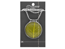 ����� ���� ���� ������ 360 ���.png