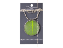 ����� ���� ���� ������� 360 ���.png