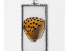 ����� ������������� ������� 216 ���.png