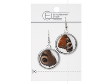 ������ ������� ������� ���� 360 ���.png