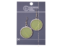 ������ ������� ������ ������� ����  360 ���.png