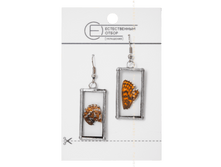 ������ �������������  ������� ���� 300 ���.png